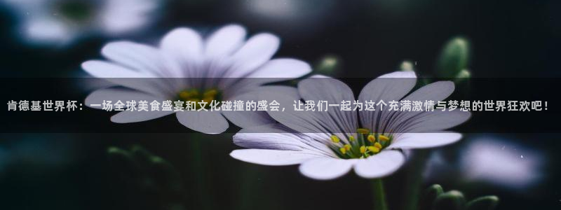 2026世亚预赛赛程表:肯德基世界杯:一场全球美食盛宴和文化碰撞的盛会,让我们一起为这个充满激情与梦想的世界狂欢吧!