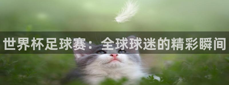 世界杯赛程表2026:世界杯足球赛:全球球迷的精彩瞬间