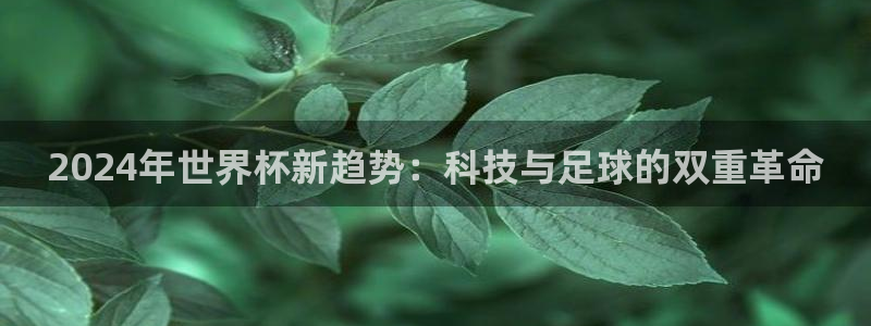 26世界杯:2024年世界杯新趋势:科技与足球的双重革命