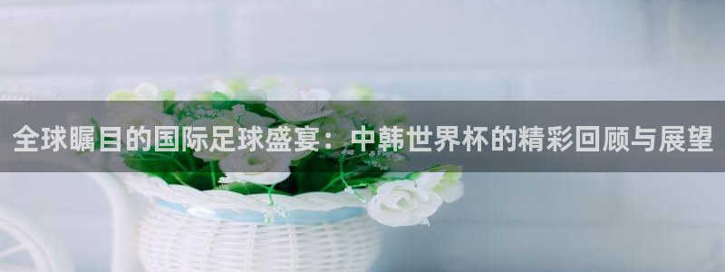 免费足球比赛直播高清:全球瞩目的国际足球盛宴:中韩世界杯的精彩回顾与展望